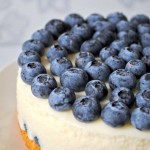 Blueberry cheesecake